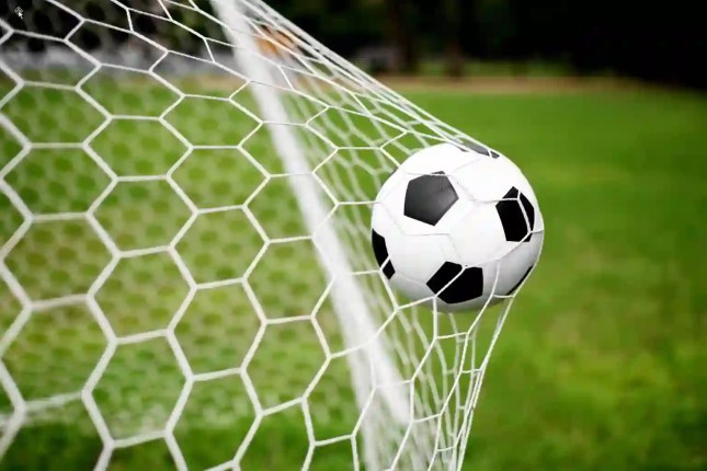 GOAL(s)!!!! and the need for a mentor