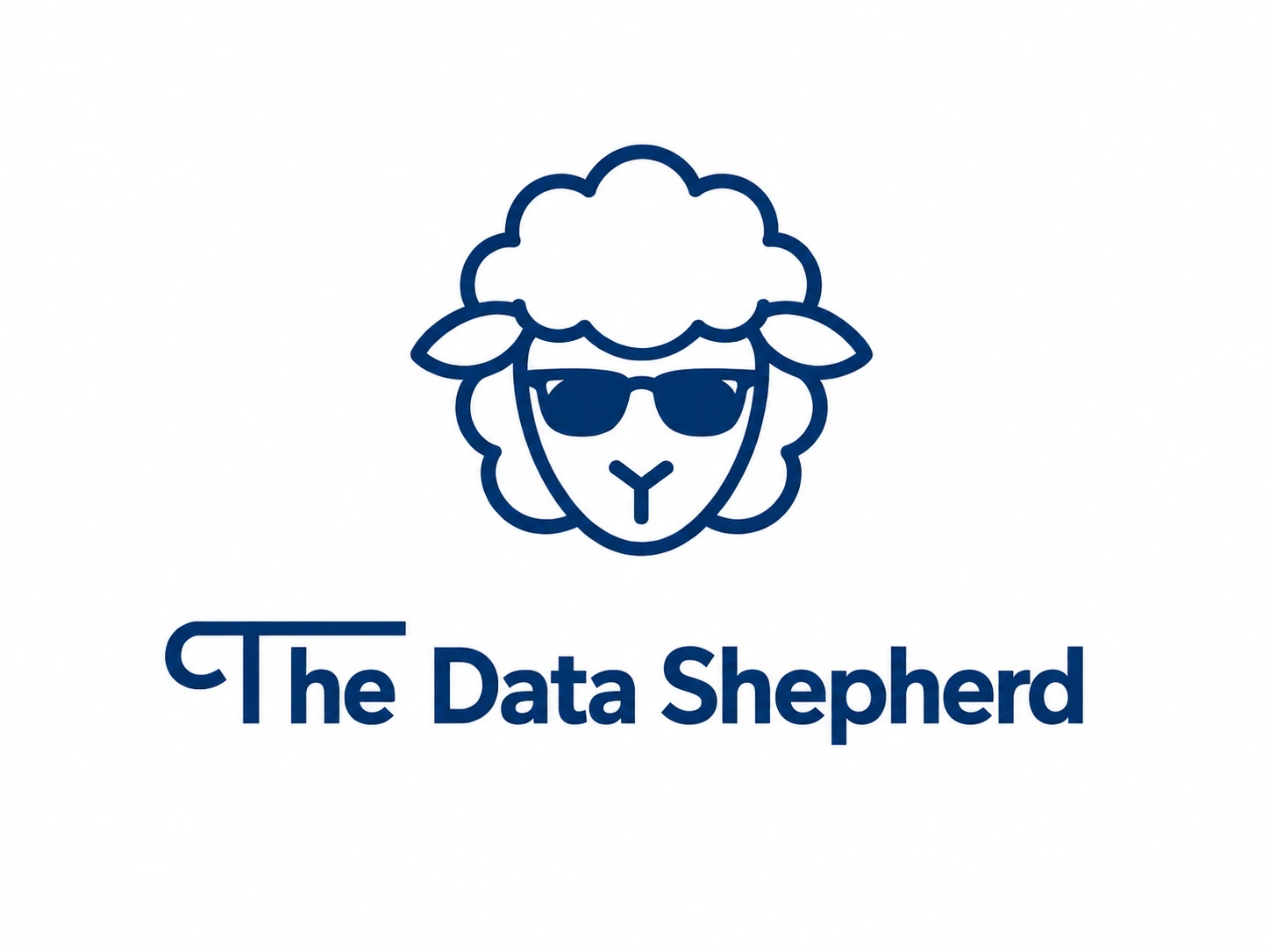 The Data Shepherd